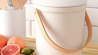 Best Selling 5 Flies in the Compost Bin