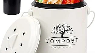 Most Popular 5 Apples in Compost Bin
