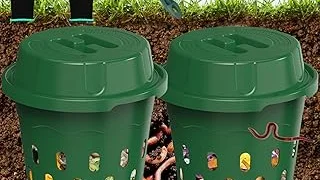 Top 5 Worms for Compost Bins